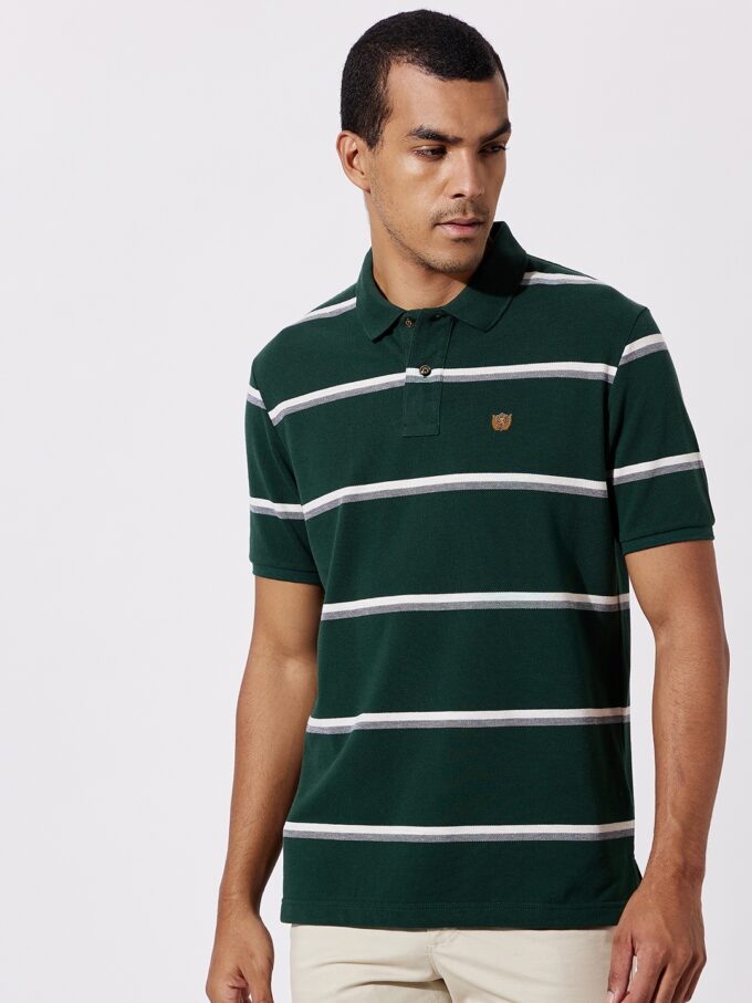 Striped Polo - 2XL